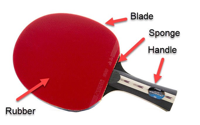 Parts-of-a-Table-Tennis-bat